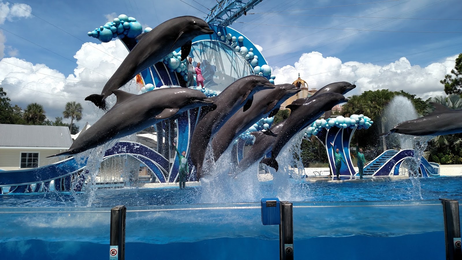 Fun Things To Do In Orlando Siete Blog